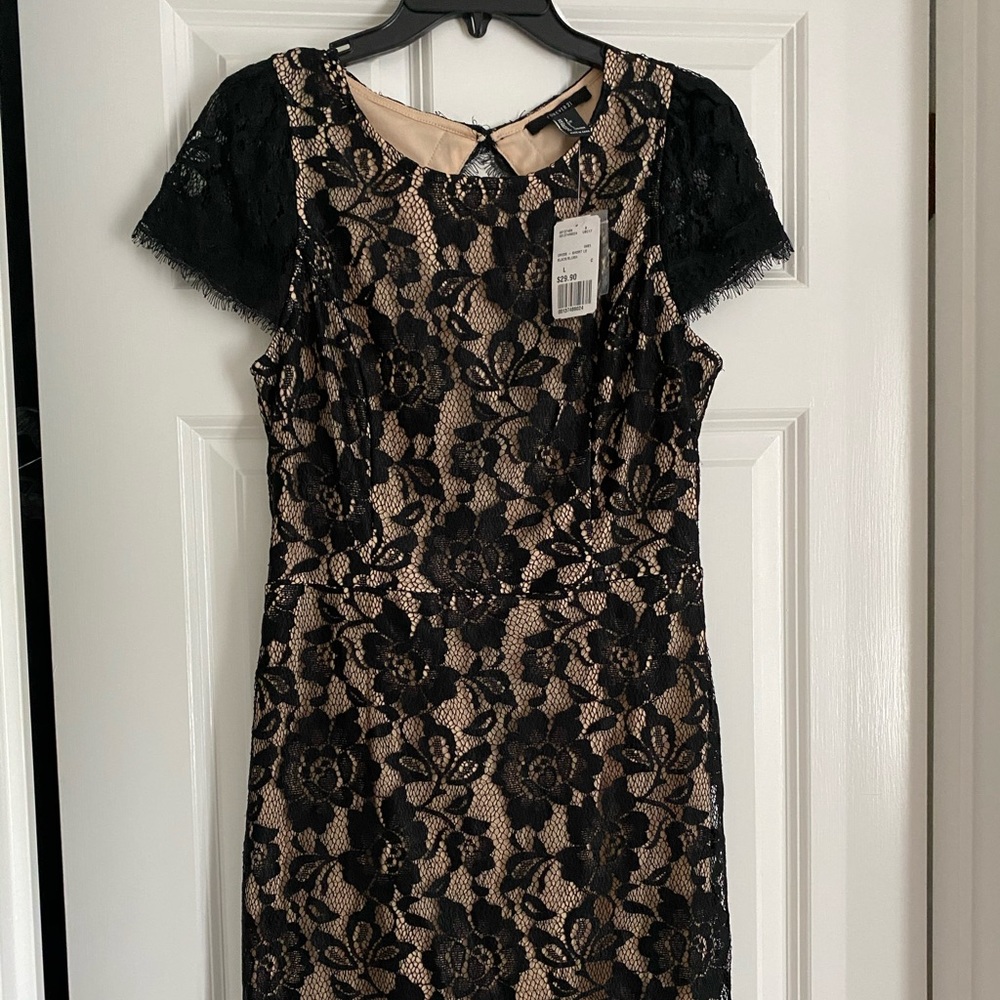 Brand New, never worn lace cocktail dress